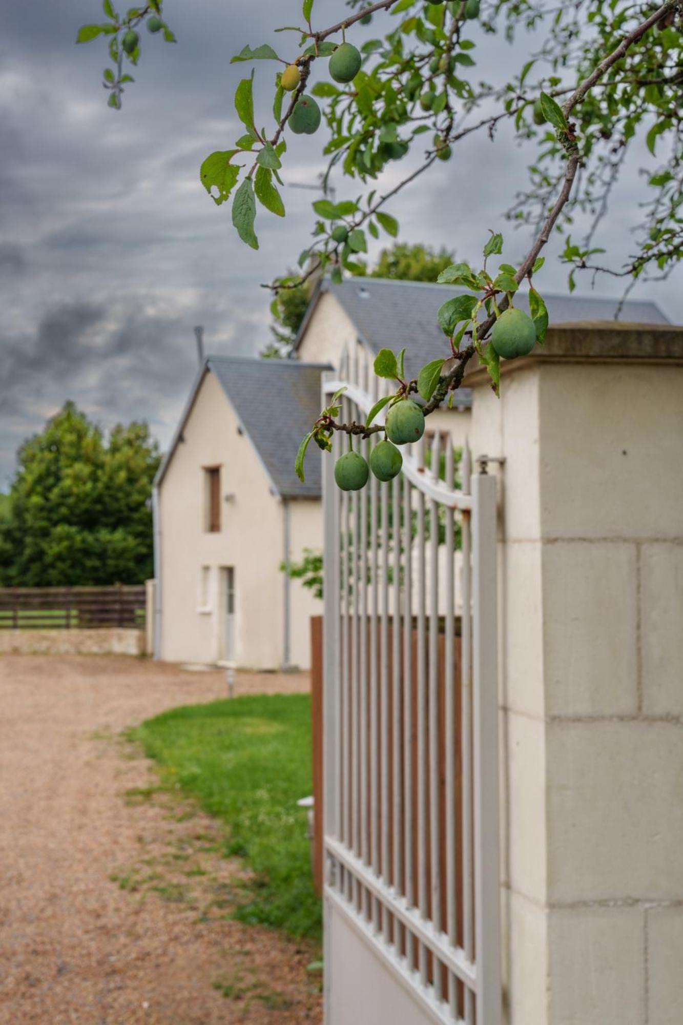 Maison Campagne Proche Tours Et Loches 6 Personnes Saint-Branchs Eksteriør billede