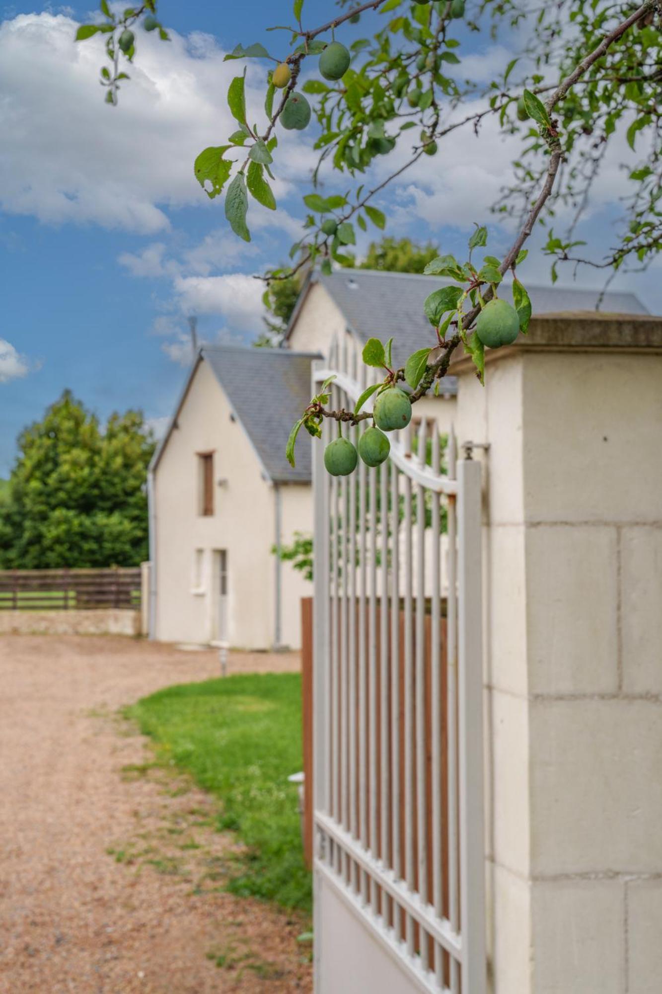 Maison Campagne Proche Tours Et Loches 6 Personnes Saint-Branchs Eksteriør billede